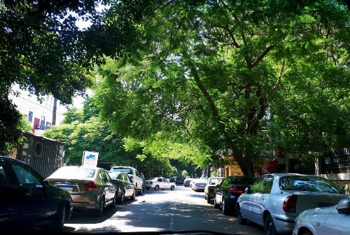 Green Area Homestay image 5